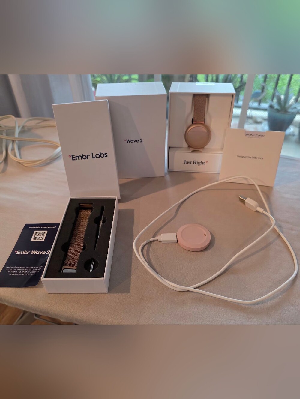 Embr Labs Wave 2 Smartwatch In Dusty Rose